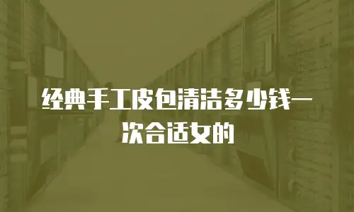 经典手工皮包清洁多少钱一次合适女的