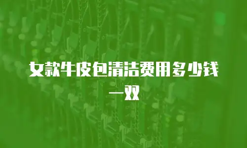 女款牛皮包清洁费用多少钱一双