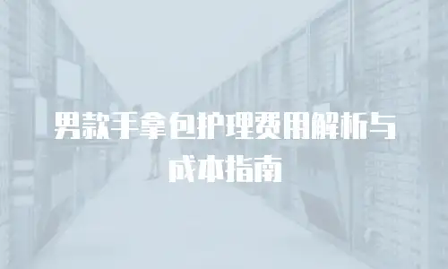 男款手拿包护理费用解析与成本指南