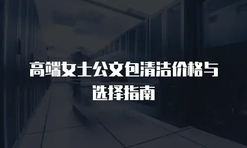 高端女士公文包清洁价格与选择指南