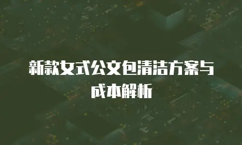 新款女式公文包清洁方案与成本解析