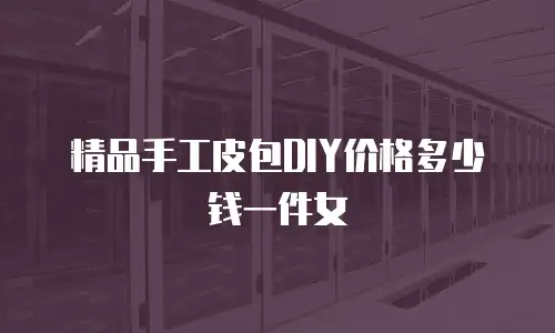 精品手工皮包DIY价格多少钱一件女