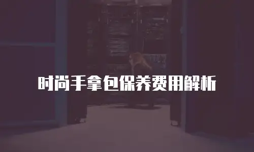 时尚手拿包保养费用解析