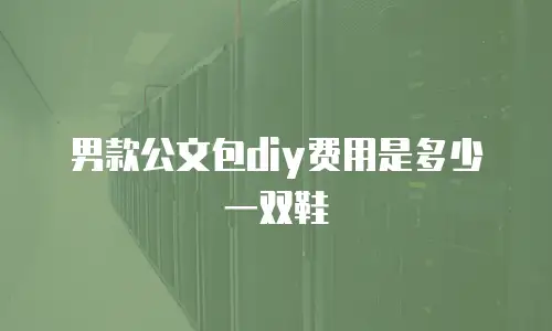 男款公文包diy费用是多少一双鞋