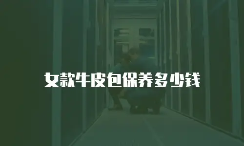 女款牛皮包保养多少钱