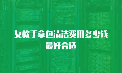 女款手拿包清洁费用多少钱最好合适