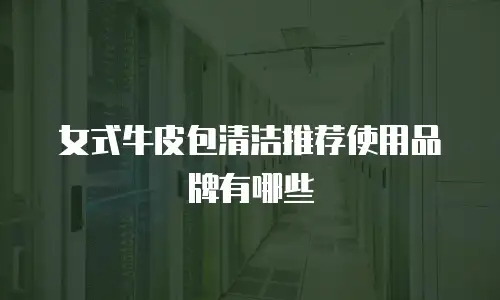 女式牛皮包清洁推荐使用品牌有哪些