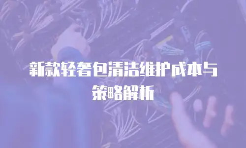 新款轻奢包清洁维护成本与策略解析