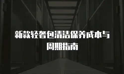 新款轻奢包清洁保养成本与周期指南
