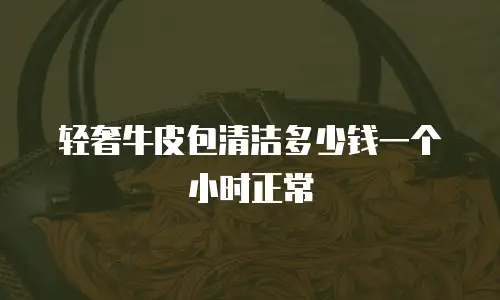 轻奢牛皮包清洁多少钱一个小时正常