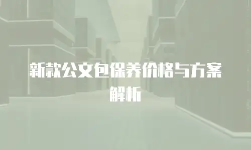 新款公文包保养价格与方案解析