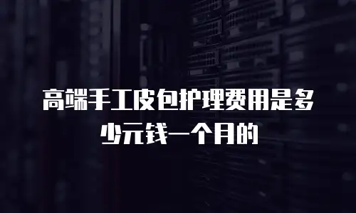高端手工皮包护理费用是多少元钱一个月的
