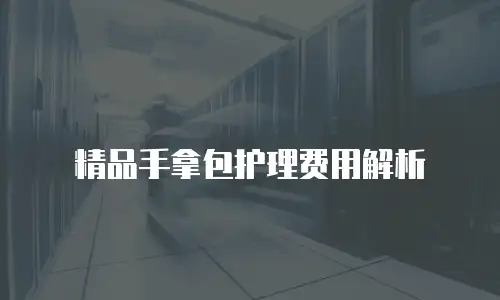 精品手拿包护理费用解析