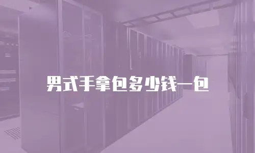 男式手拿包多少钱一包