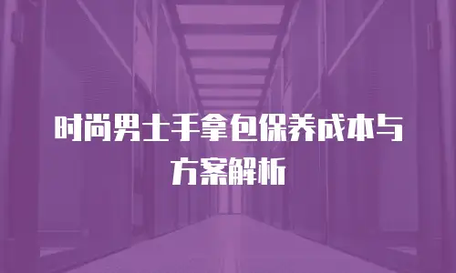 时尚男士手拿包保养成本与方案解析