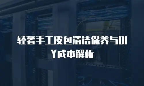 轻奢手工皮包清洁保养与DIY成本解析