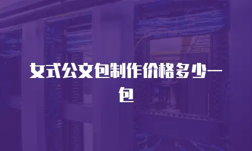 女式公文包制作价格多少一包