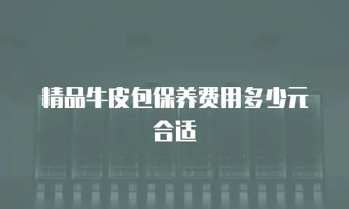 精品牛皮包保养费用多少元合适