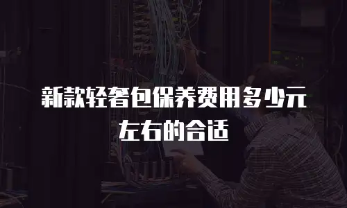 新款轻奢包保养费用多少元左右的合适