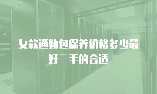 女款通勤包保养价格多少最好二手的合适
