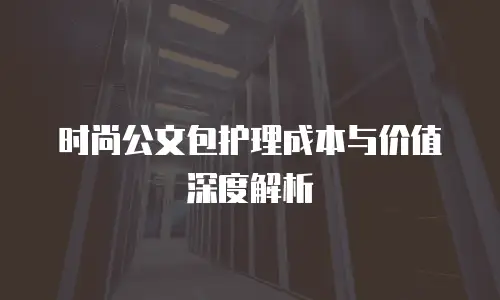 时尚公文包护理成本与价值深度解析