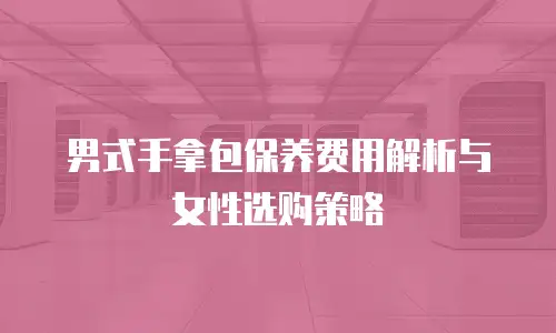 男式手拿包保养费用解析与女性选购策略
