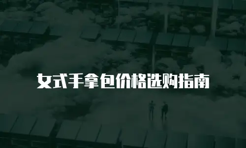 女式手拿包价格选购指南