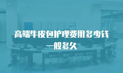 高端牛皮包护理费用多少钱一般多久