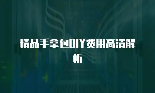 精品手拿包DIY费用高清解析