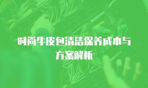 时尚牛皮包清洁保养成本与方案解析