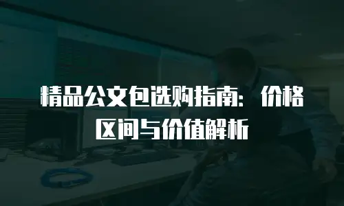 精品公文包选购指南：价格区间与价值解析