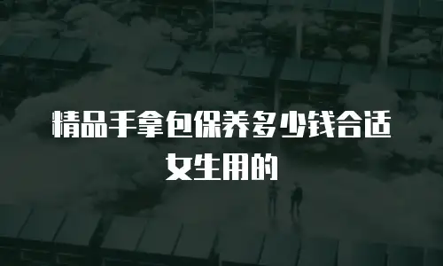 精品手拿包保养多少钱合适女生用的