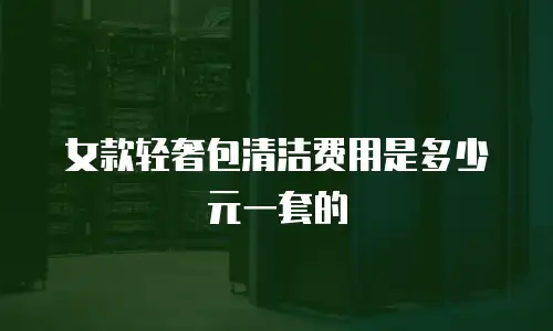女款轻奢包清洁费用是多少元一套的