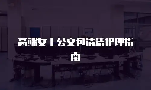 高端女士公文包清洁护理指南