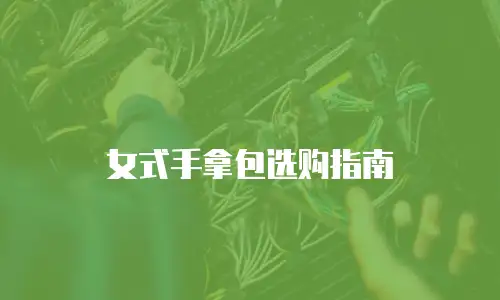 女式手拿包选购指南