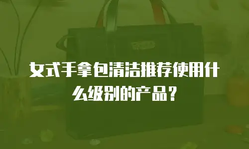 女式手拿包清洁推荐使用什么级别的产品？