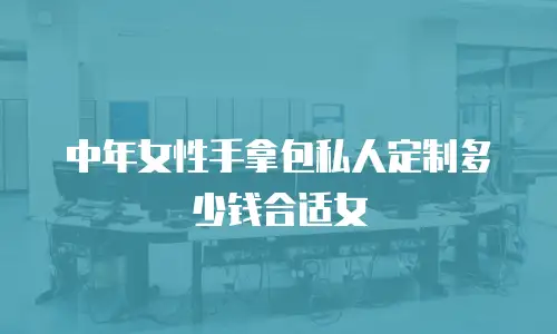 中年女性手拿包私人定制多少钱合适女