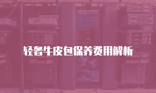 轻奢牛皮包保养费用解析