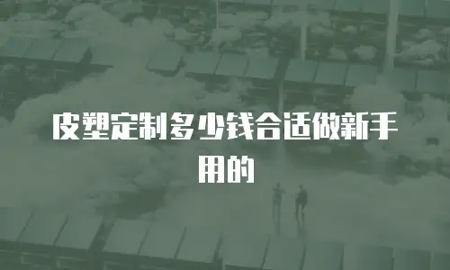 皮塑定制多少钱合适做新手用的