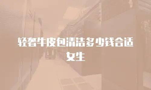 轻奢牛皮包清洁多少钱合适女生