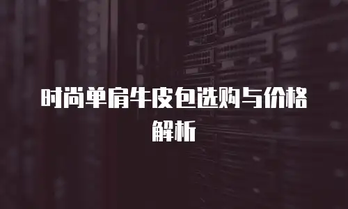 时尚单肩牛皮包选购与价格解析