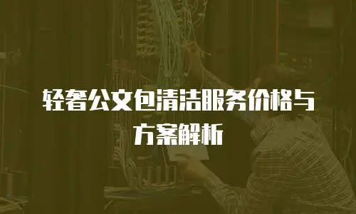 轻奢公文包清洁服务价格与方案解析