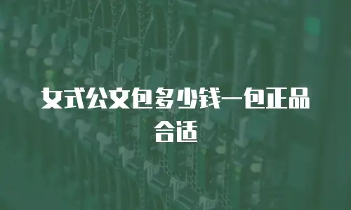 女式公文包多少钱一包正品合适