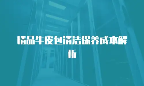 精品牛皮包清洁保养成本解析