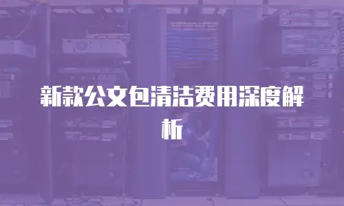 新款公文包清洁费用深度解析