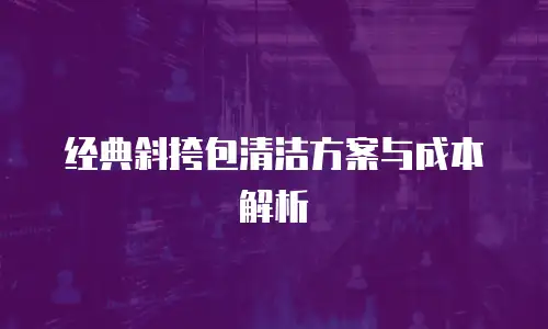 经典斜挎包清洁方案与成本解析