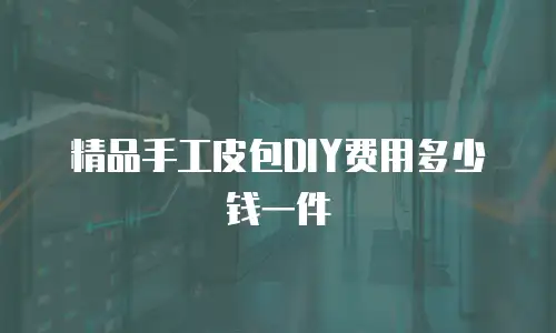精品手工皮包DIY费用多少钱一件