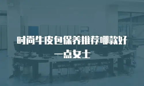 时尚牛皮包保养推荐哪款好一点女士