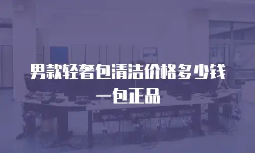男款轻奢包清洁价格多少钱一包正品