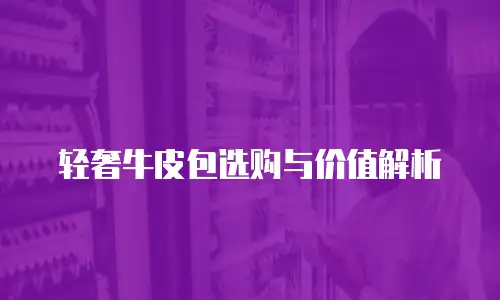 轻奢牛皮包选购与价值解析